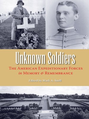 cover image of Unknown Soldiers